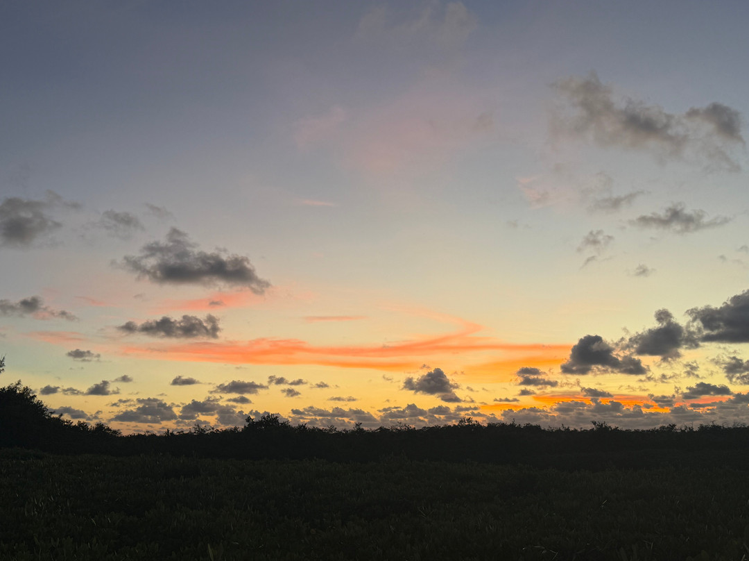 Ocean View Inn and Sports Pub主图