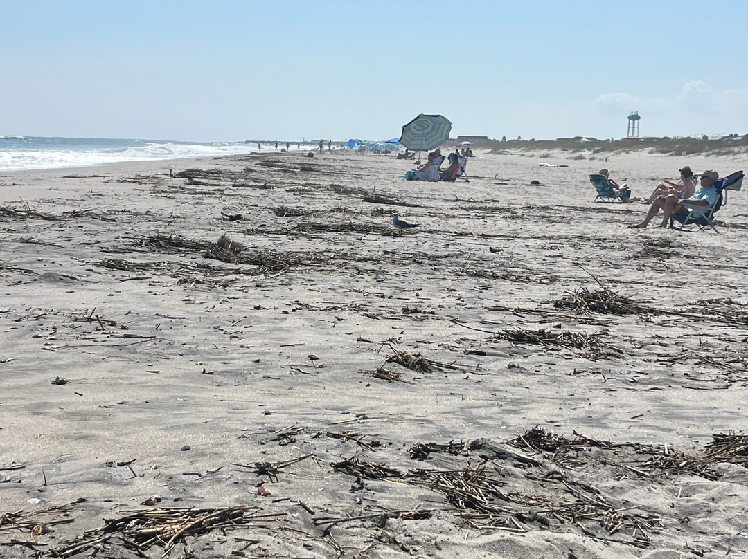 Isle of Palms Beach-棕榈岛必去景点