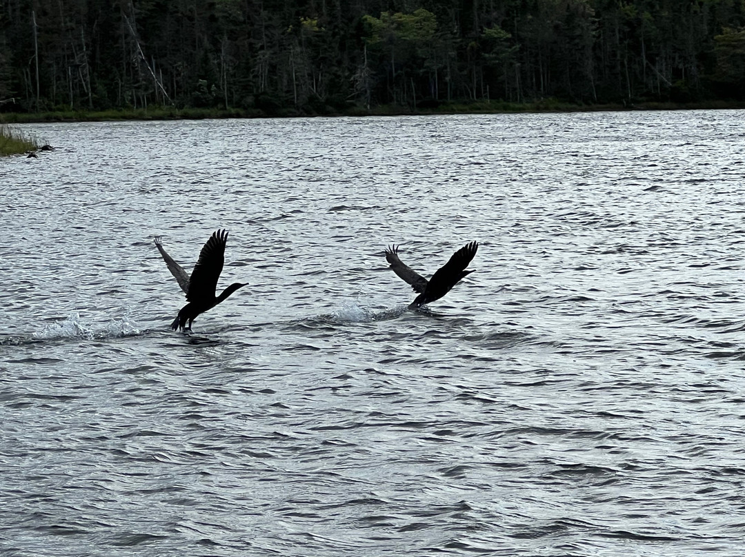Cape Breton Sailing Charters-St. Peter's必去景点