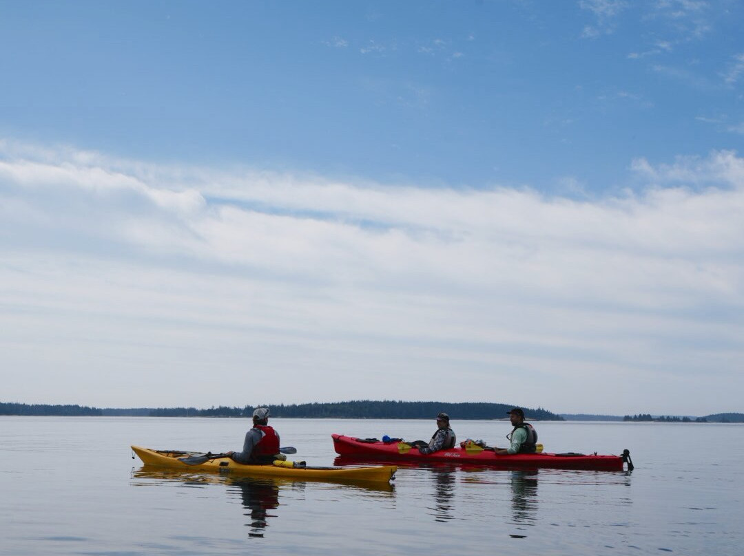 Osprey's Echo Sea Kayaking-Stonington必去景点