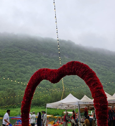 Halla Salalah travel and tours-塞拉莱必去景点