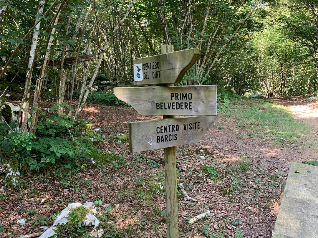 Sentiero del Dint dal Lago di Barcis-Barcis必去景点