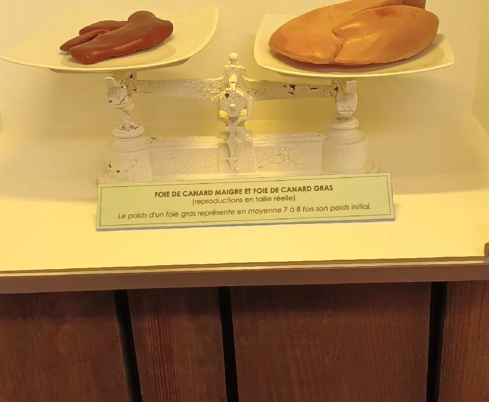 Musée du Foie Gras-Frespech必去景点