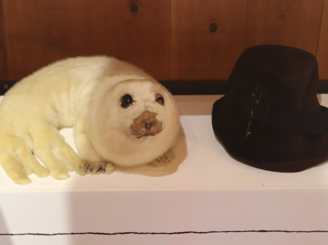 Chauvin Trading Post-泰道沙克必去景点