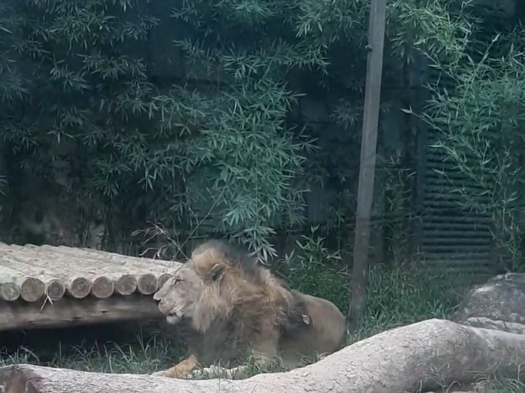 Zoo Park da Montanha-Marechal Floriano必去景点