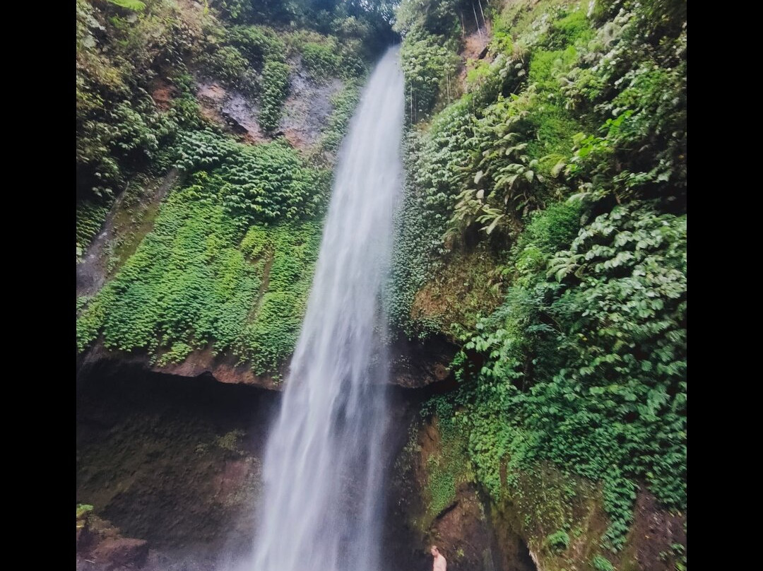 Guia Turistico Bali - Day Tours-沙努尔必去景点