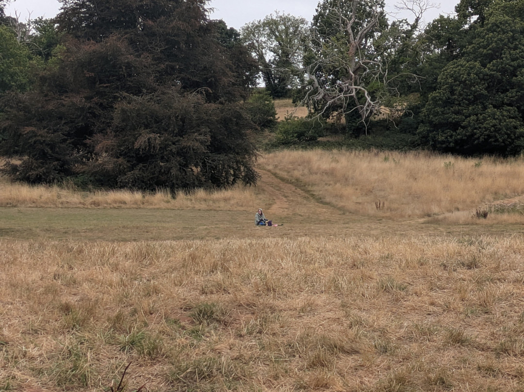 Ashton Court Estate-布里斯托尔必去景点