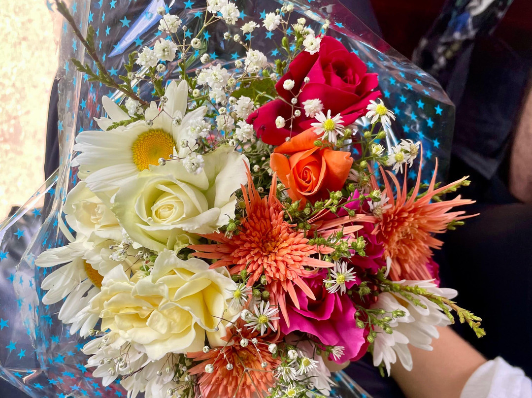 Leo Eco Tours Sri Lanka-Godagama必去景点