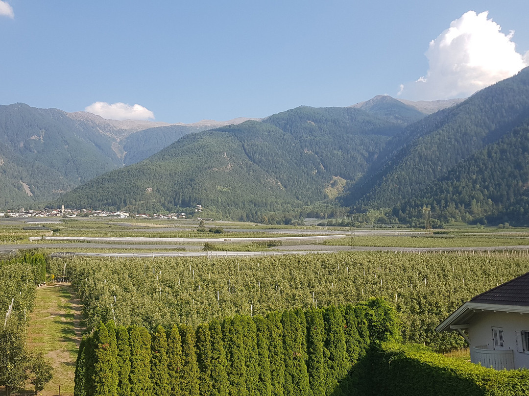 Piris Jagdhof - Dolce Vita Experience主图