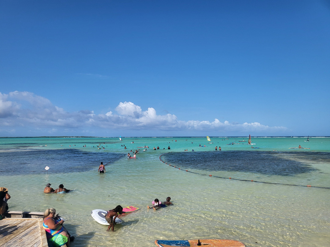 Pickup Huren Bonaire-Belnem必去景点