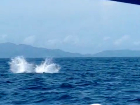 Costa Tours-彭塔雷纳斯必去景点