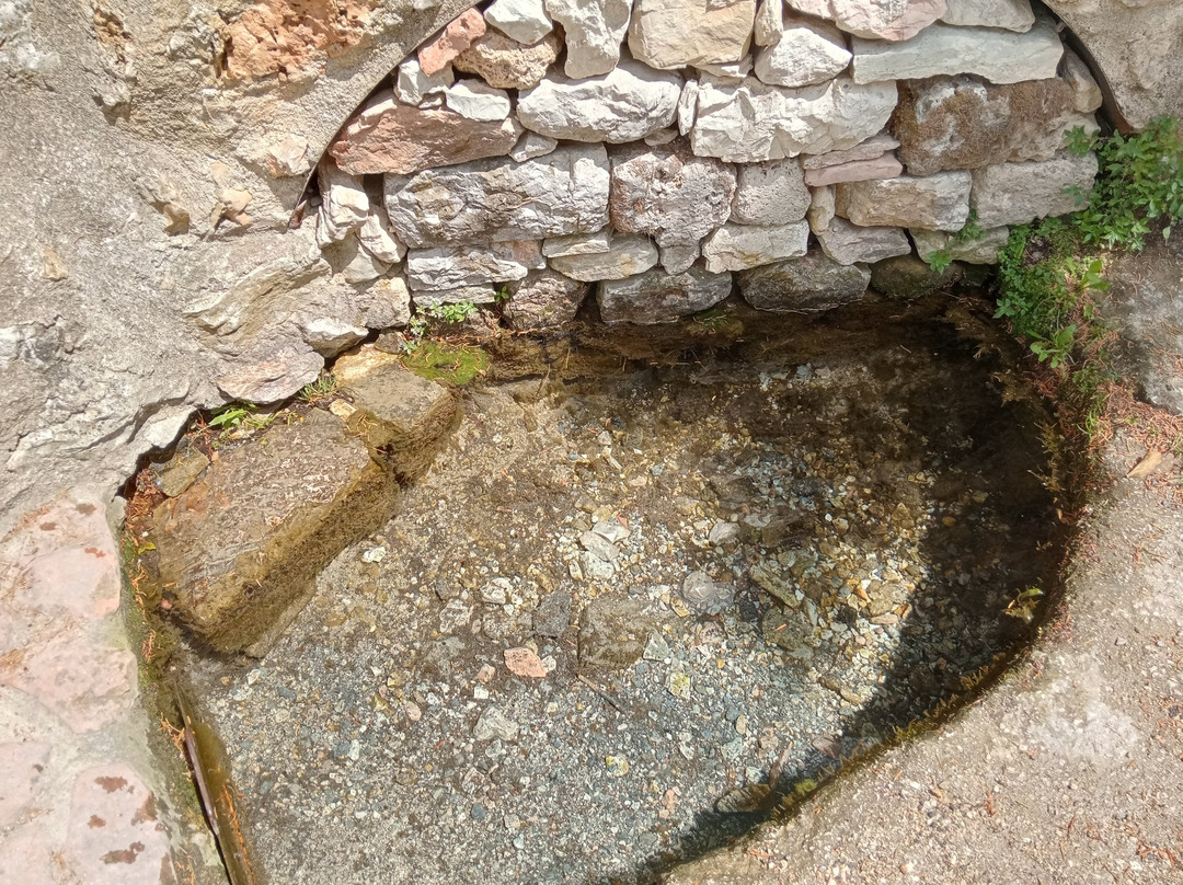 Risorgiva