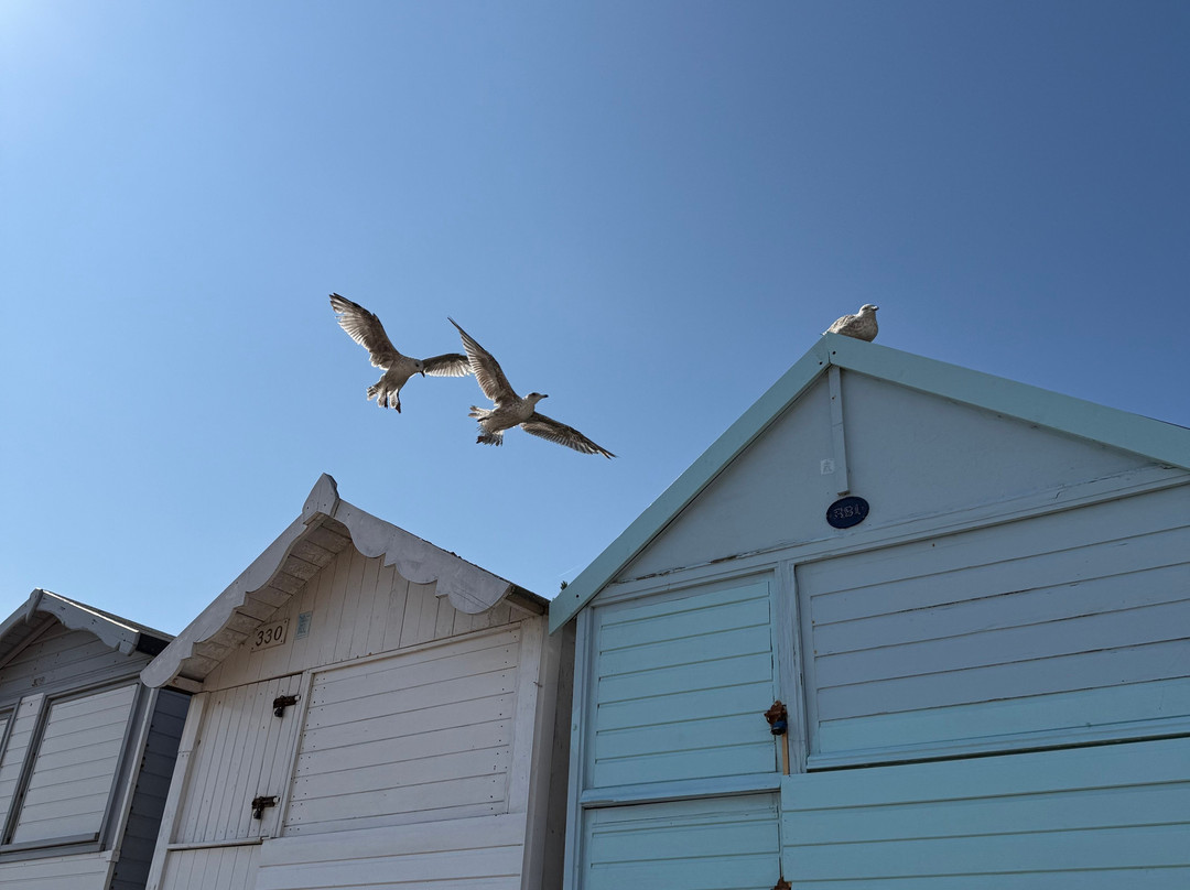 Frinton on Sea Beach-Frinton-On-Sea必去景点