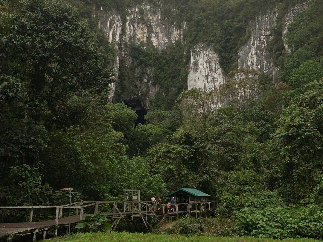 Mulu Caves-美里必去景点