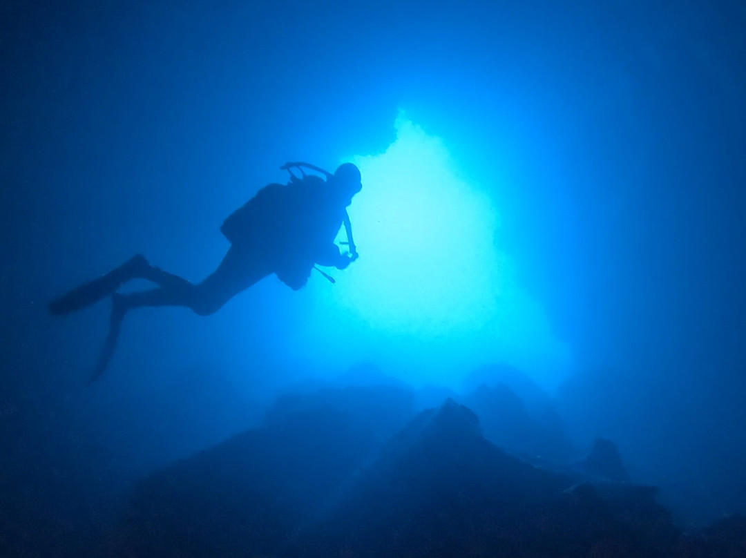 Atalaia Diving Center-Canico必去景点