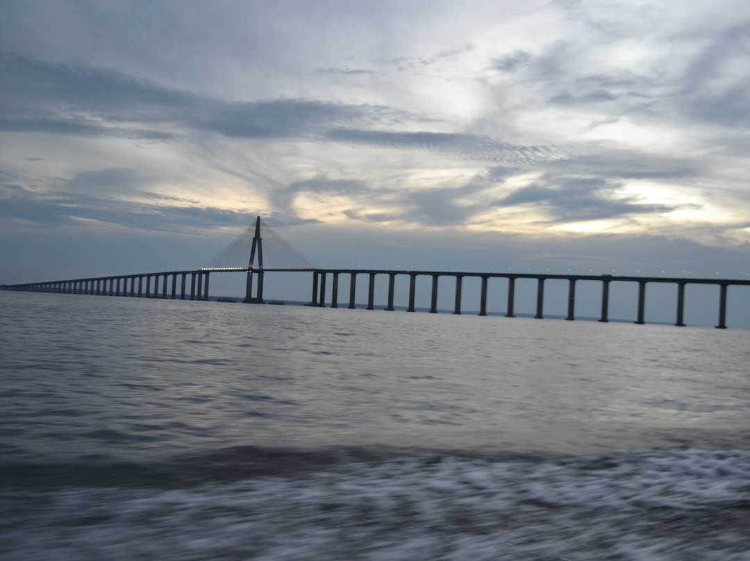 Ponte Do Rio Negro-玛瑙斯必去景点