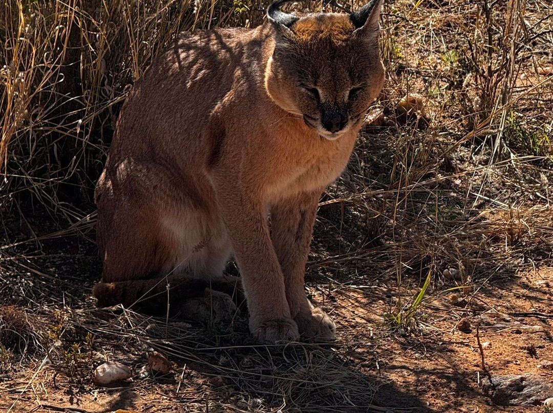 Naankuse Wildlife Sanctuary-温德和克必去景点