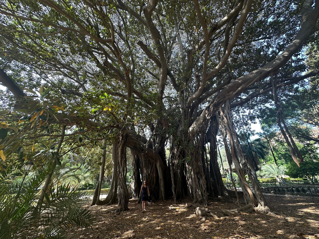 Giardino Garibaldi-巴勒莫必去景点