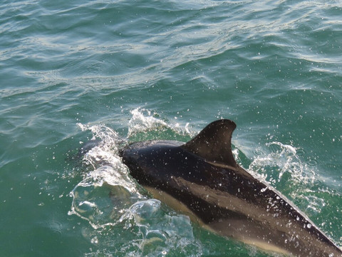 Boatsafari.co.uk-布里克瑟姆必去景点