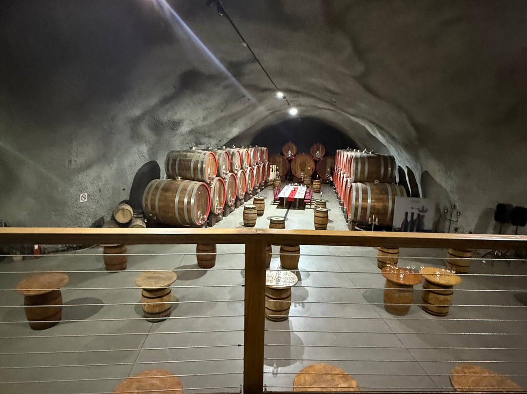 Wine Cellar Šipčanik, 13.jul Plantaže-Tuzi必去景点
