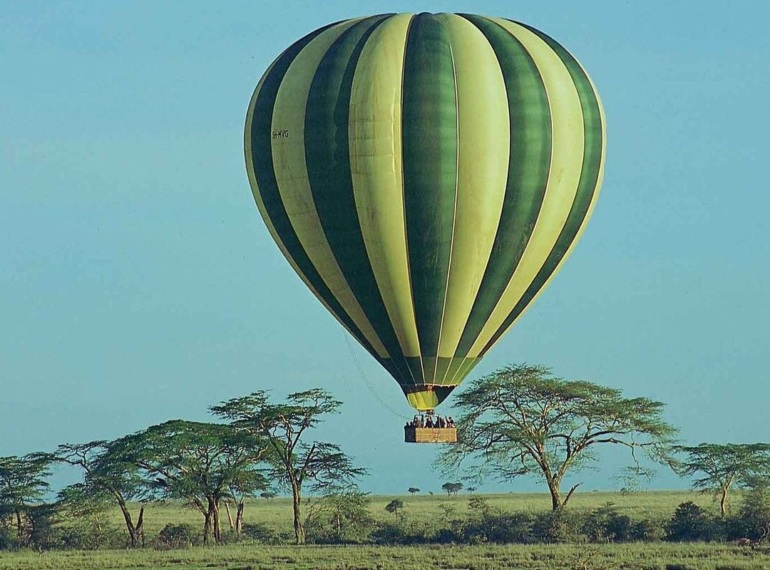 Gracepatt Ecotours Kenya