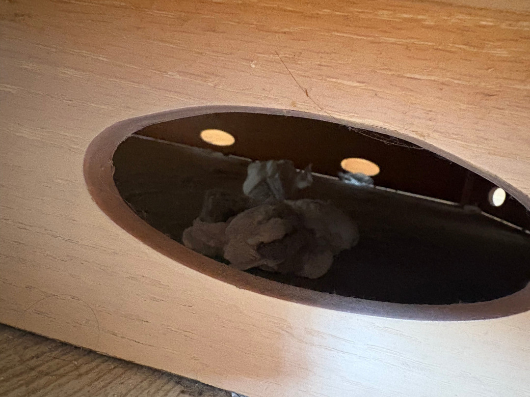 Eurotraveller Hotel Premier Harrow主图