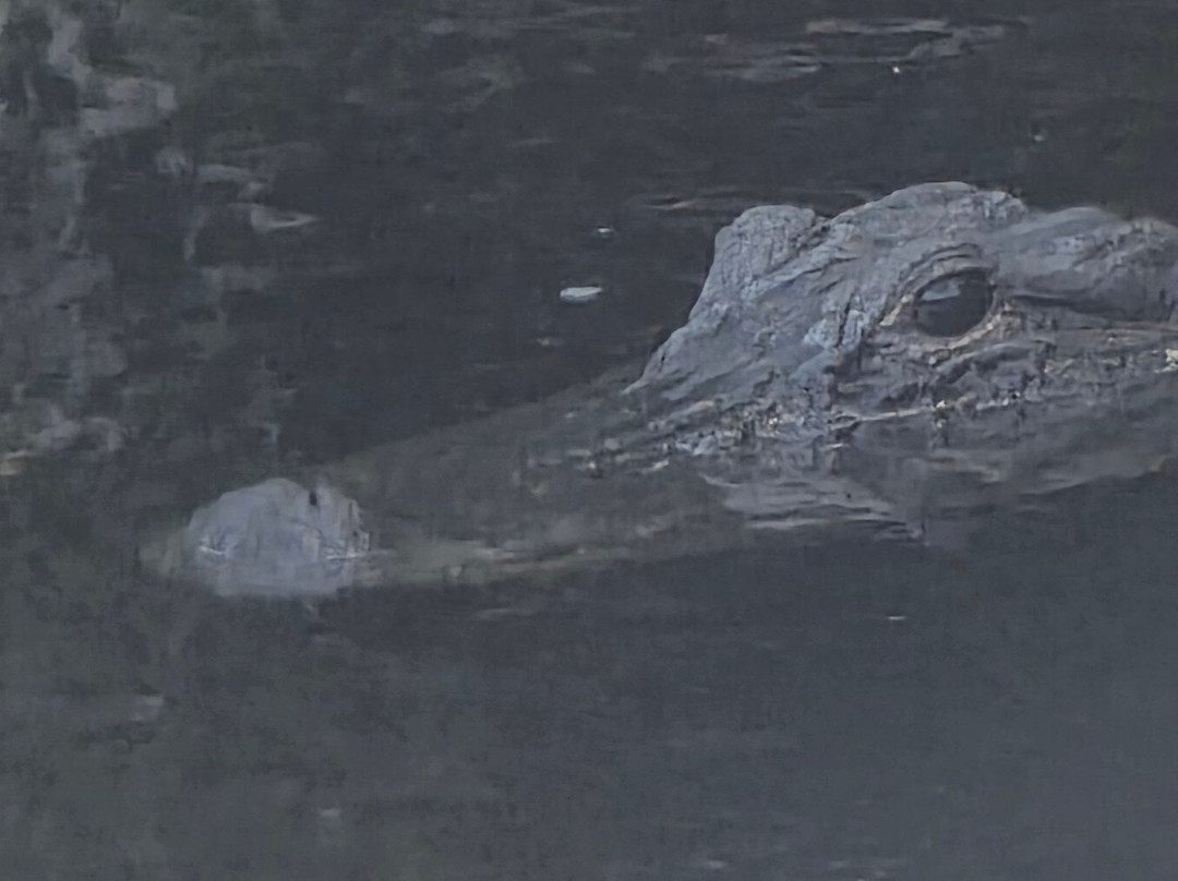 Captain Jack's Airboat Tours-大沼泽地必去景点