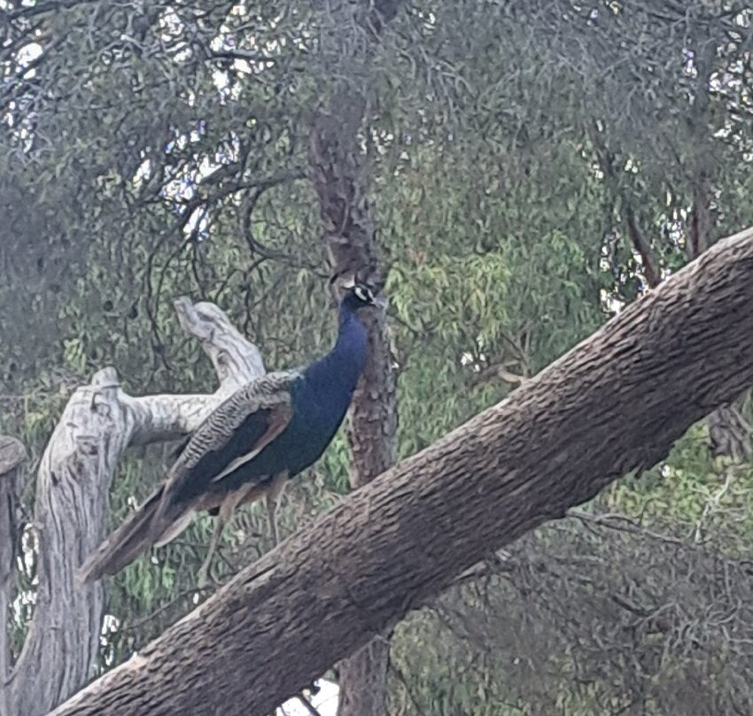 Reina Sofia Park-瓜尔达马尔德尔塞古拉必去景点