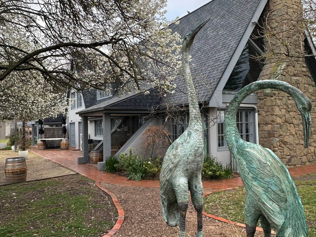 Scotchmans Hill Winery-Drysdale必去景点