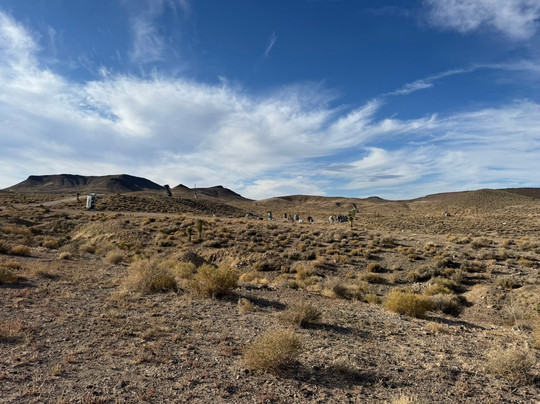 International Car Forest of The Last Church-Goldfield必去景点