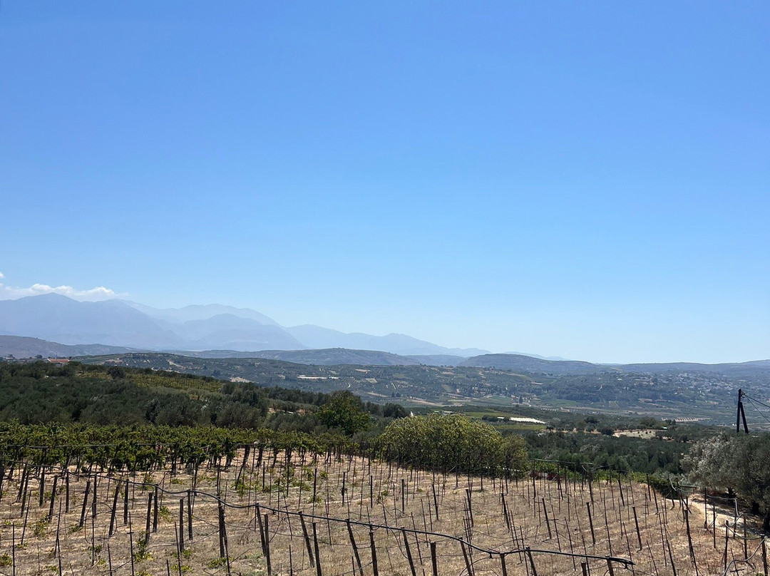 Winery Stilianou-Archanes必去景点