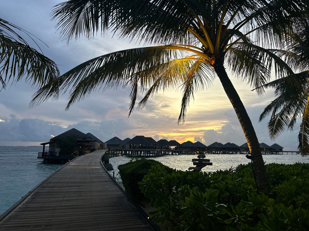 阿达郎尊贵瓦度岛度假村主图