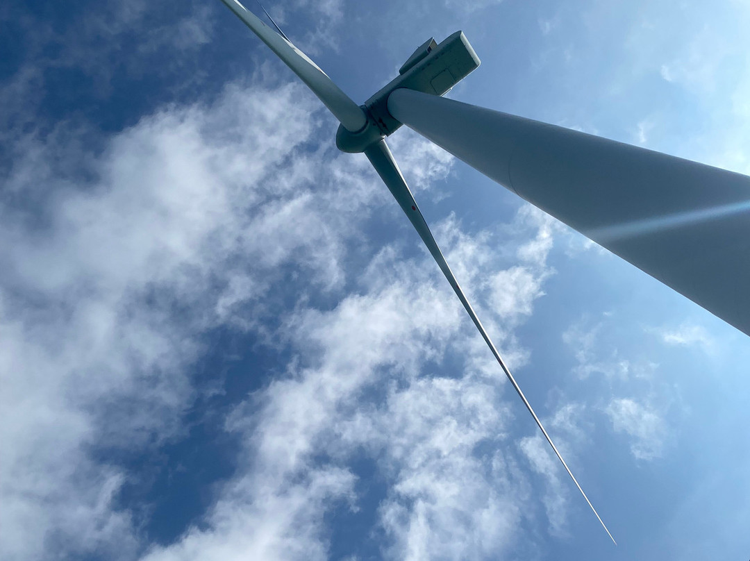 Brighton Diver-布莱顿必去景点