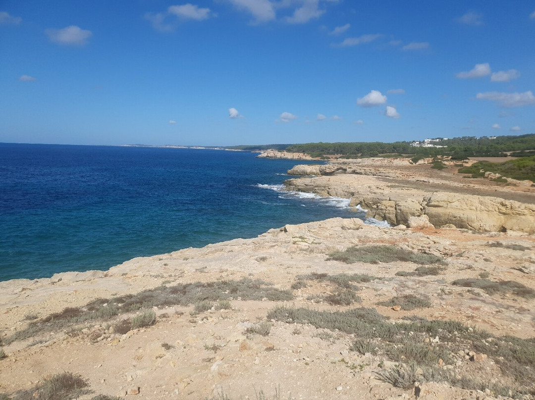 Playa de Son Bou-阿拉约尔必去景点