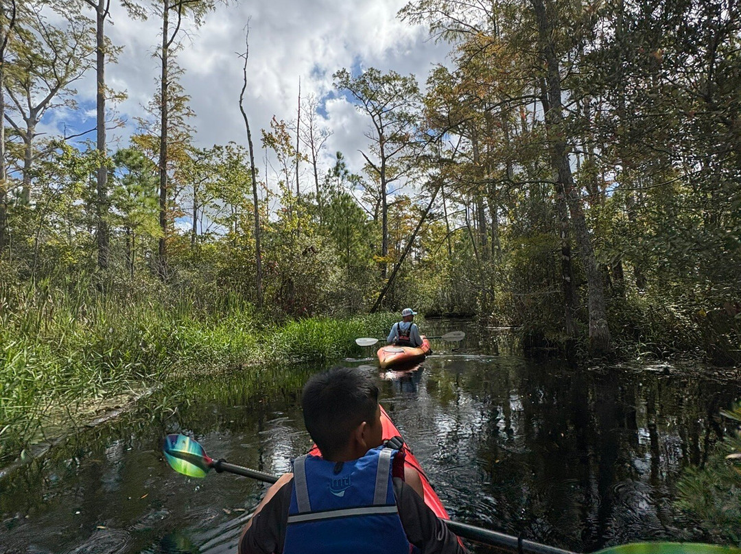 Coastal Kayak Touring Company-Duck必去景点