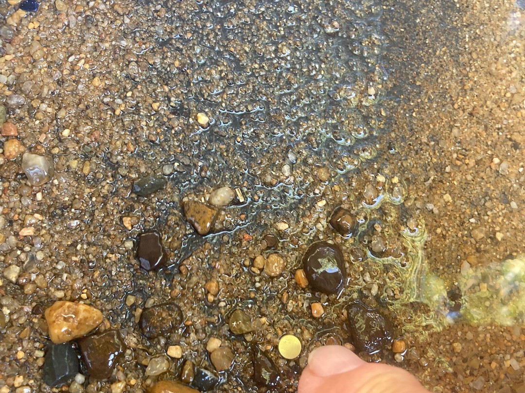 Beaconsfield Mine & Heritage Centre-Beaconsfield必去景点