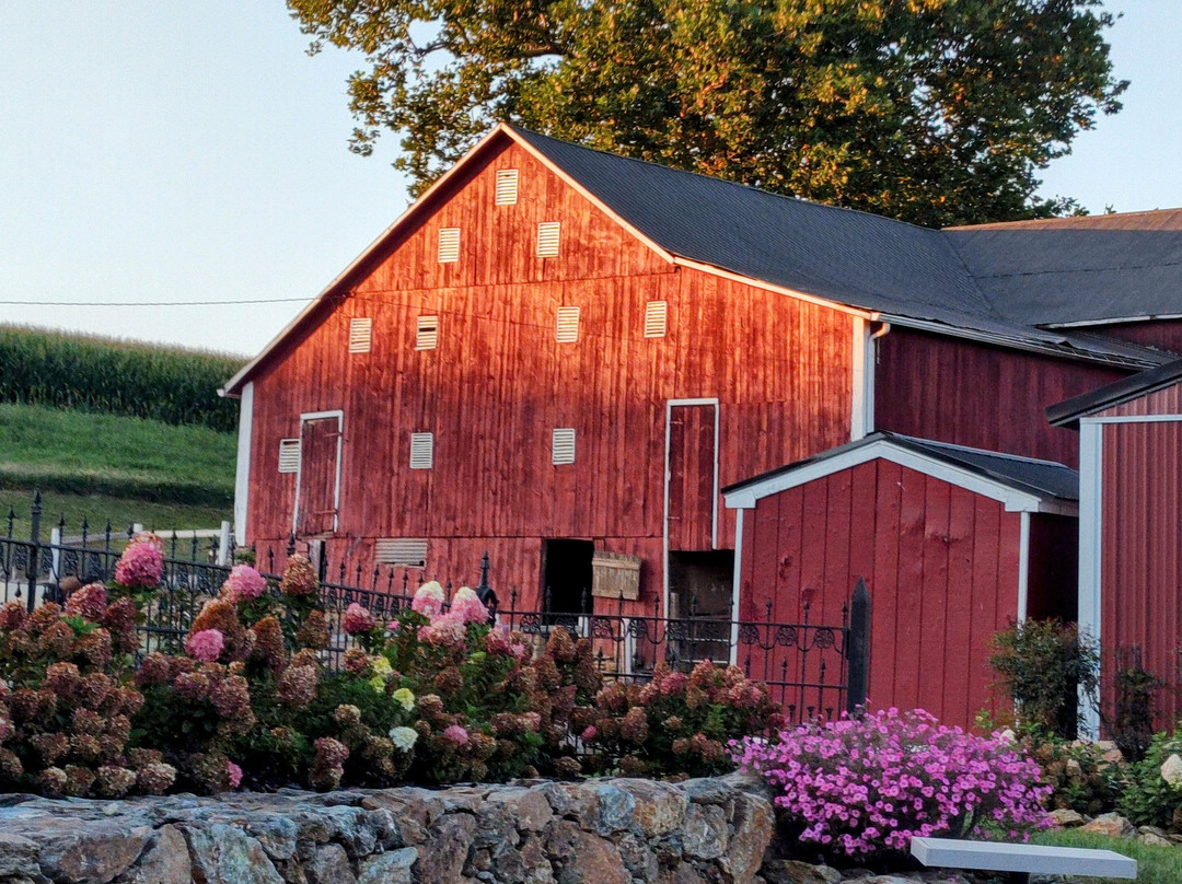 Red Barn Farm Market at Harry C.Dehoff Farms
