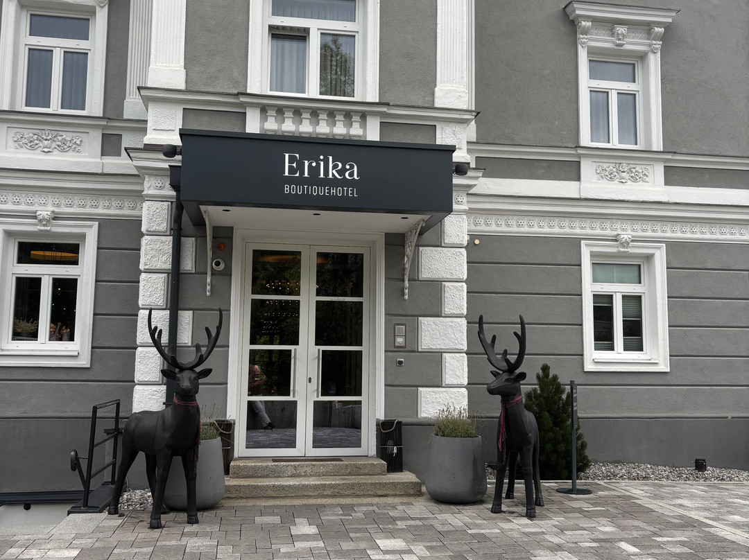 ERIKA Boutiquehotel Kitzbühel主图
