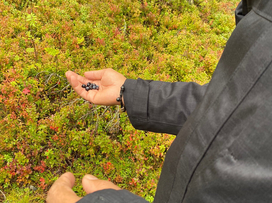 Pyha-Luosto National Park-Pyhatunturi必去景点