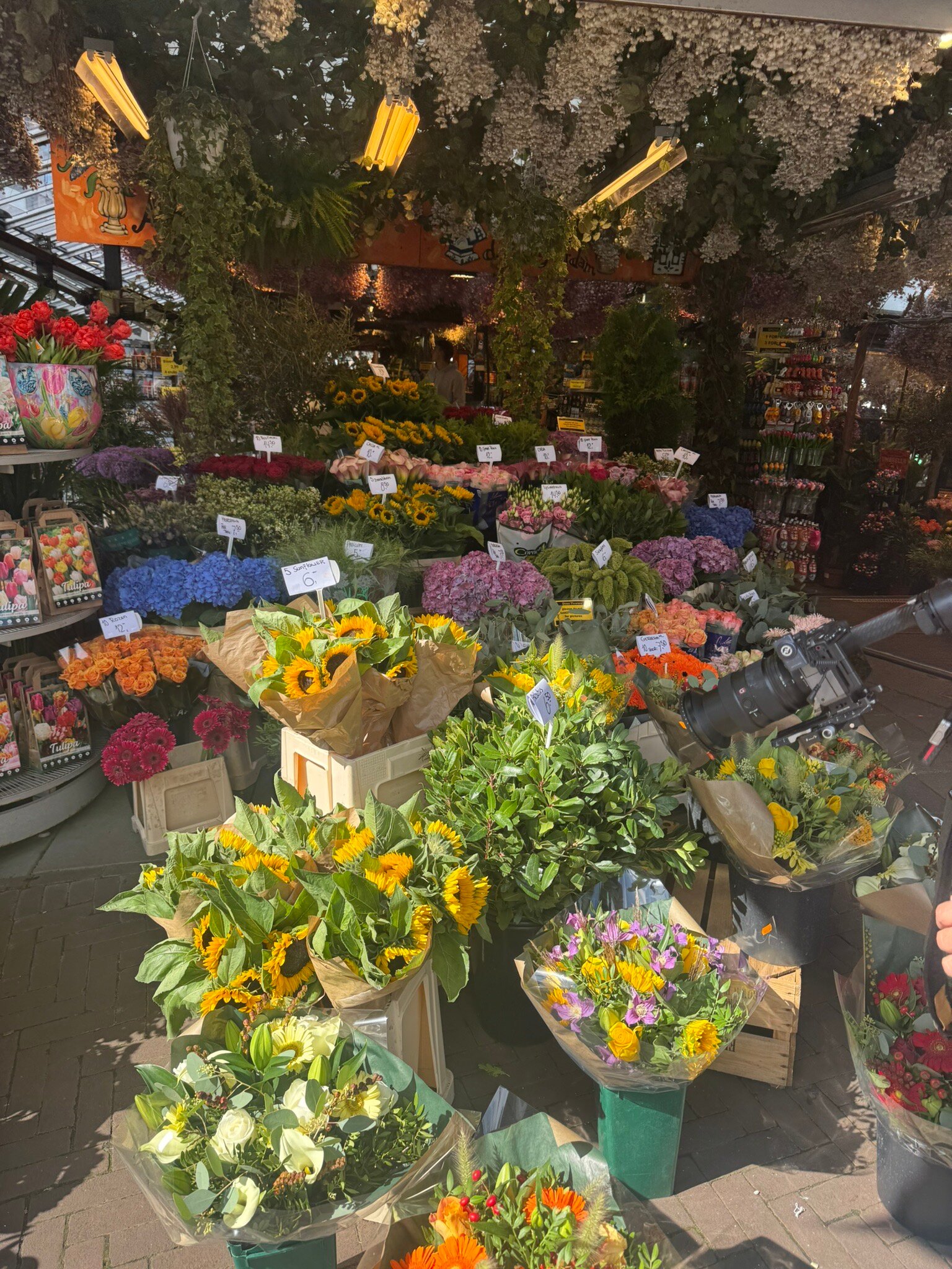 阿姆斯特丹市雅高芮族酒-官方