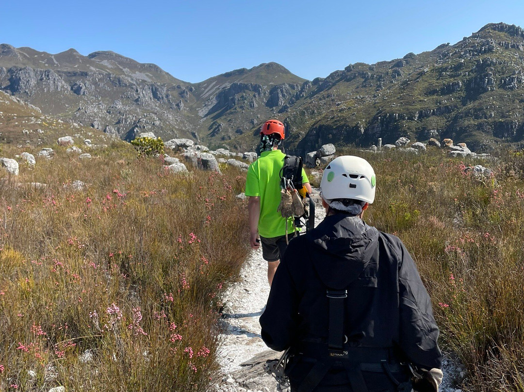Cape Canopy Tour-Elgin必去景点