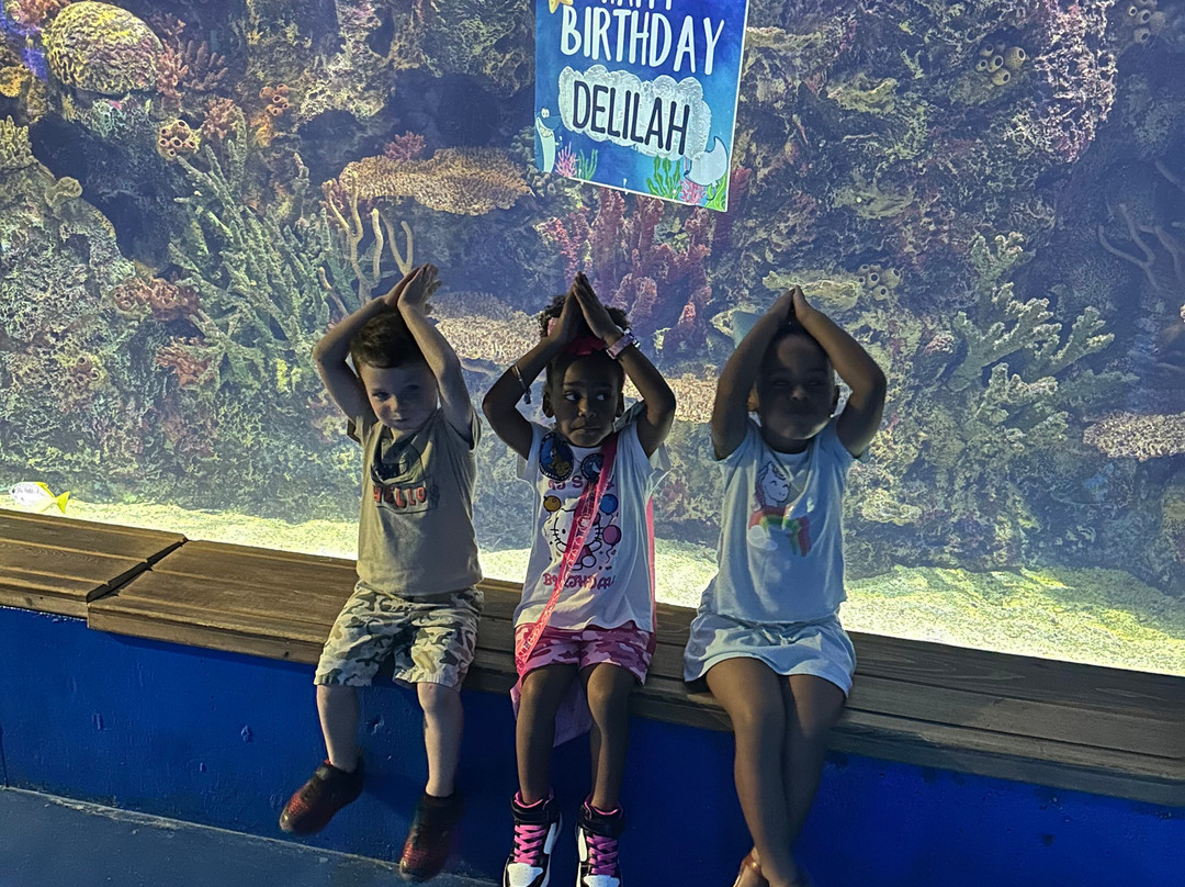 Shreveport Aquarium-什里夫波特必去景点