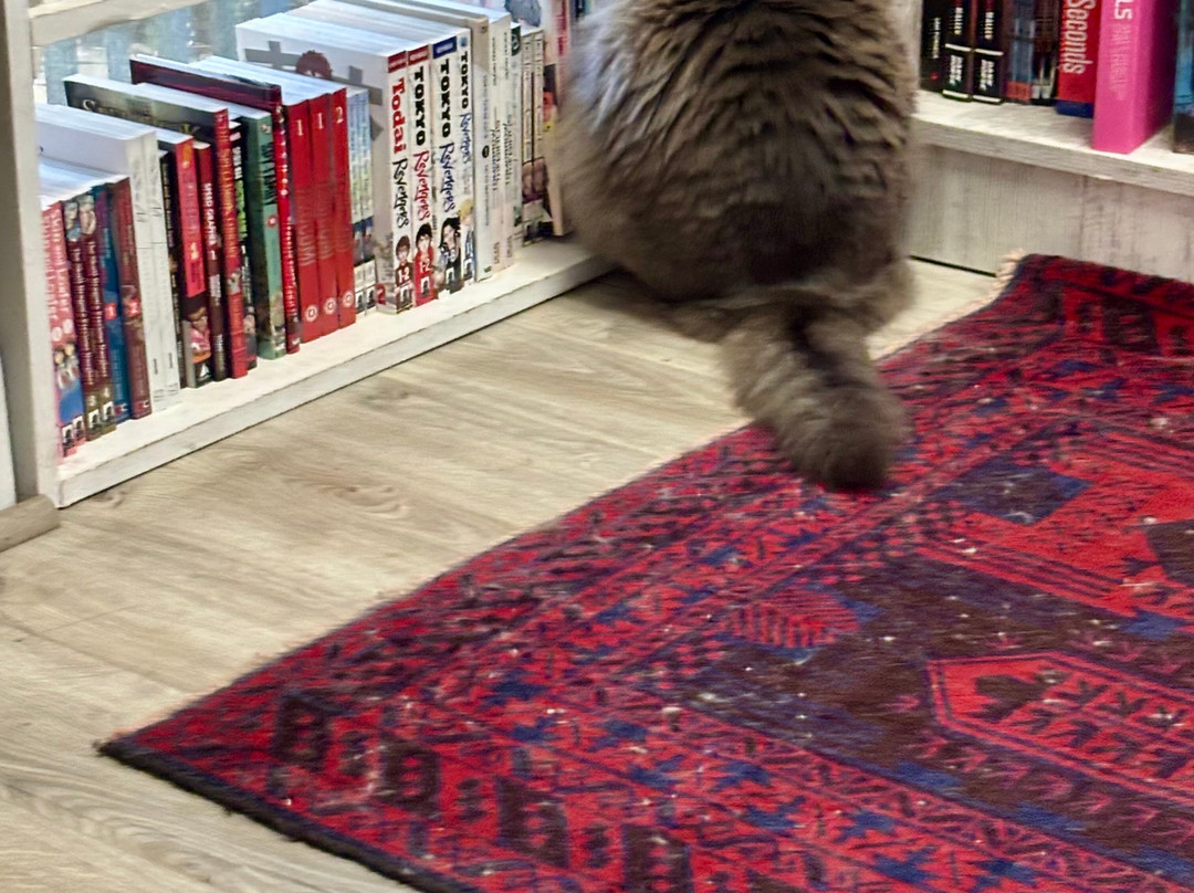 E Shaver Bookseller-萨凡纳必去景点