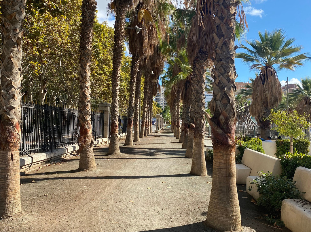 Palmeral de las Sorpresas-马拉加必去景点