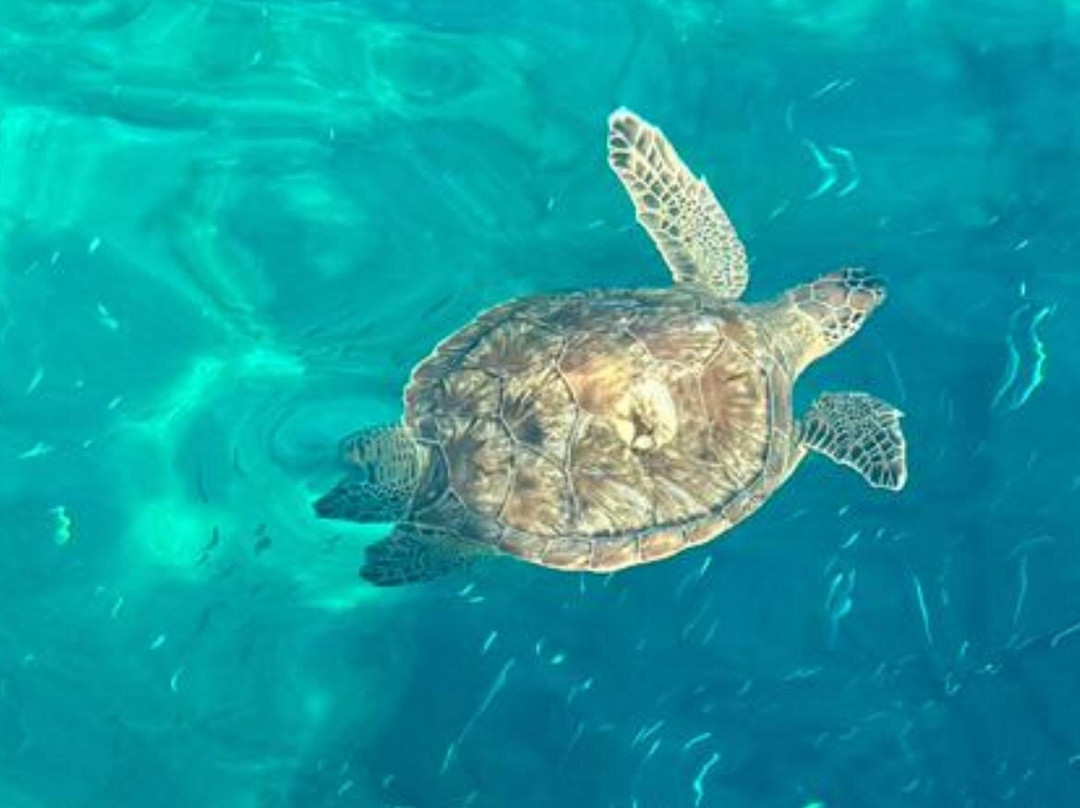 cornelia luxury yacht cruiser-普它肋斯必去景点