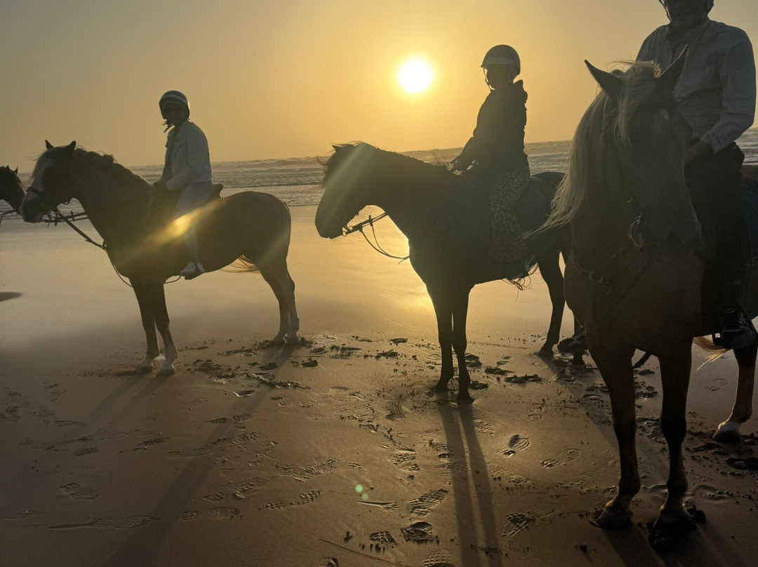 Zouina Cheval-索维拉必去景点