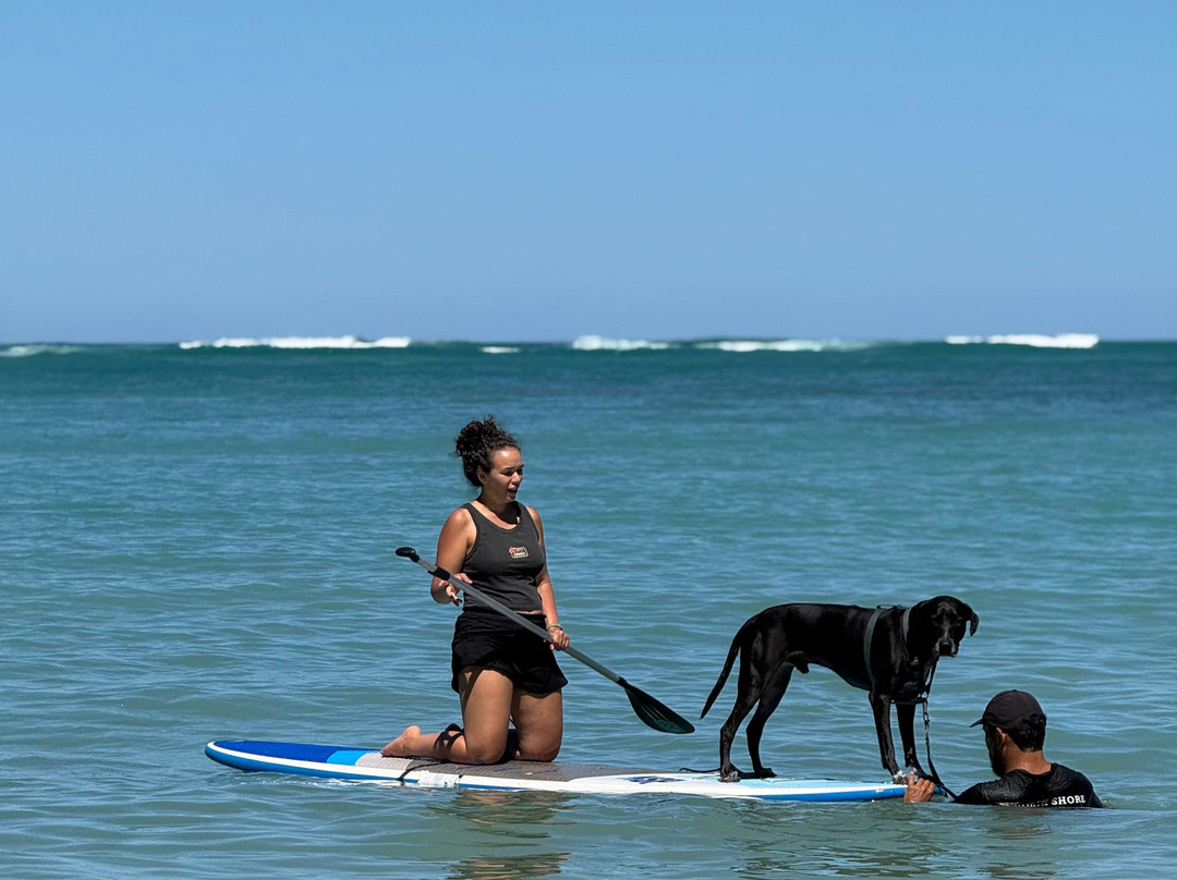 N.S.O.G. North Shore Ocean Guides-卡胡库必去景点