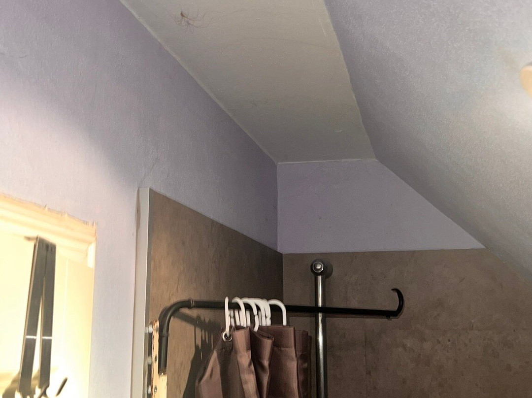 Hotel Gaestehaus Hochmann主图