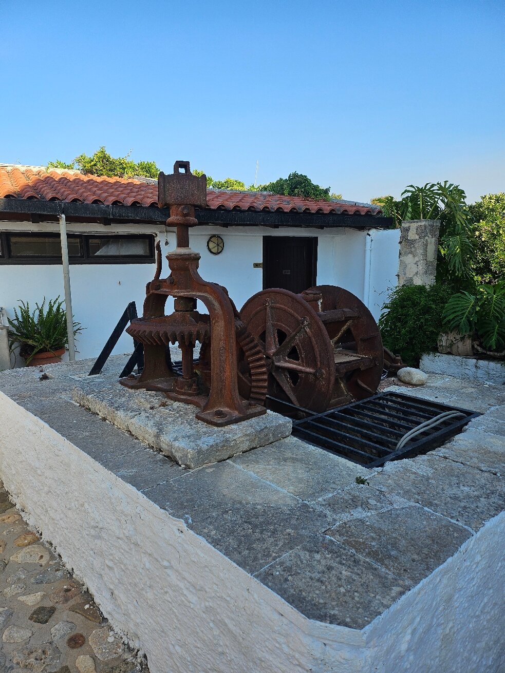 Oasis Guesthouse-官方