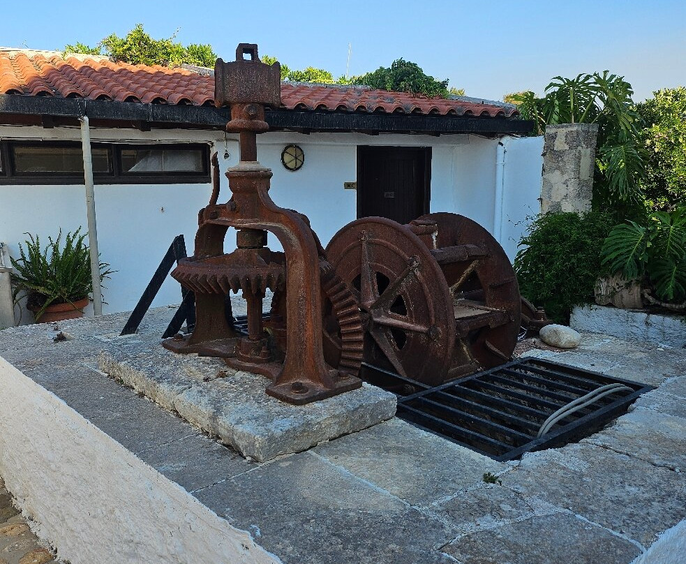 Oasis Guesthouse主图